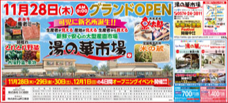 中日新聞広告　全5段